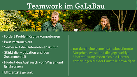 Vorteile von Teamwork im GaLaBau