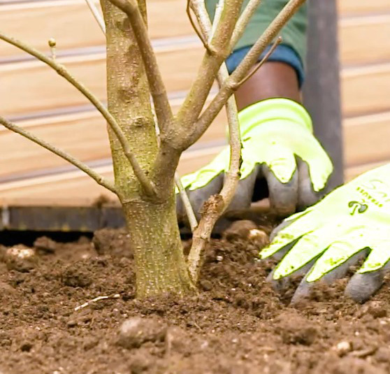 Arbeit in der Natur